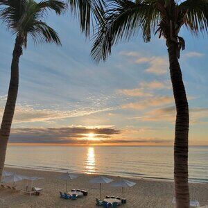 Meet your Posher, Indy